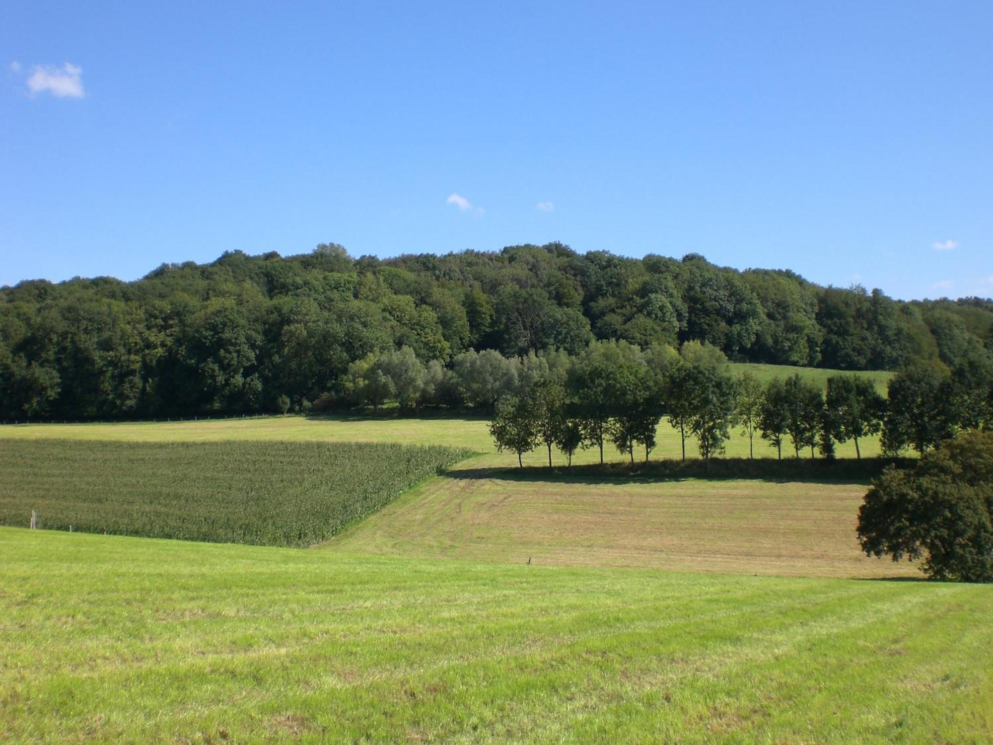Stunning Holiday Home Near Forest In Slenaken Esterno foto